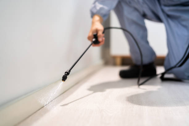 Licensed Pest Control service in Roaming Shores, OH - Show Me Pest Control